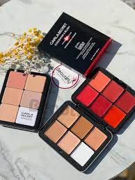 Carla Secret Concealer & Blush Palette – 8‑Shade Cream Coverage & Color Palette